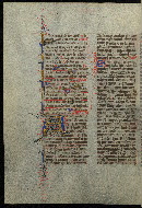 W.300, fol. 555v