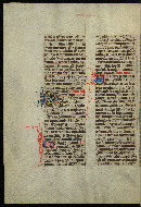 W.300, fol. 556v
