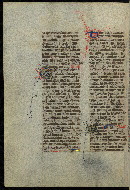 W.300, fol. 557v