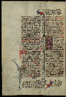 W.300, fol. 558v