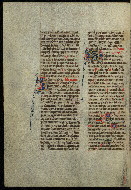 W.300, fol. 560v