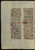 W.300, fol. 567v