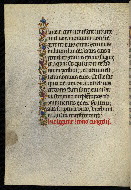 W.328, fol. 195v