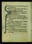 W.35, fol. 17v