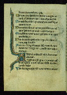 W.35, fol. 28v
