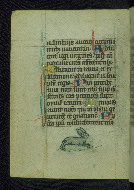 W.37, fol. 17v