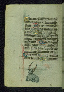 W.37, fol. 25v