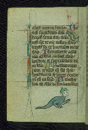 W.37, fol. 38v