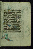 W.37, fol. 50r