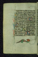 W.37, fol. 119v