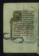 W.37, fol. 141v