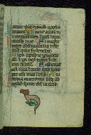 W.37, fol. 152r