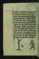 W.37, fol. 161v