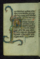W.37, fol. 191v