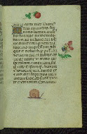 W.427, fol. 17r