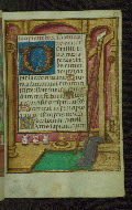 W.427, fol. 19r