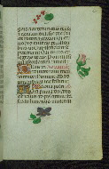 W.427, fol. 20r