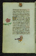 W.427, fol. 21v