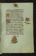 W.427, fol. 22r