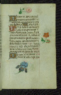 W.427, fol. 23r