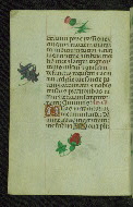 W.427, fol. 23v