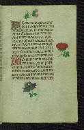 W.427, fol. 24r