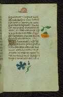 W.427, fol. 25r