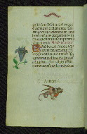 W.427, fol. 25v