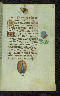 W.427, fol. 28r