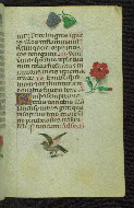 W.427, fol. 29r