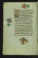 W.427, fol. 29v