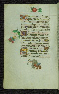 W.427, fol. 31v