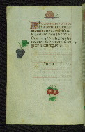 W.427, fol. 32v