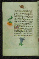 W.427, fol. 33v