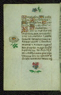 W.427, fol. 34v