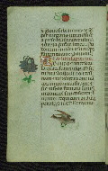 W.427, fol. 35v