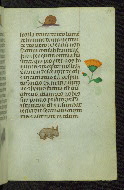 W.427, fol. 37r