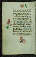 W.427, fol. 37v