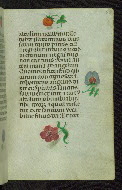 W.427, fol. 42r