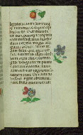 W.427, fol. 44r
