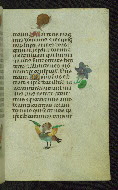 W.427, fol. 50r