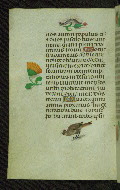 W.427, fol. 50v