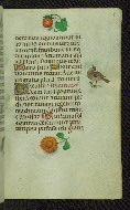 W.427, fol. 51r
