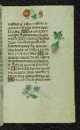 W.427, fol. 52r