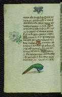 W.427, fol. 52v