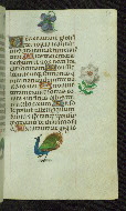 W.427, fol. 53r