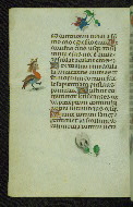 W.427, fol. 53v
