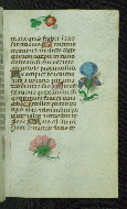 W.427, fol. 55r