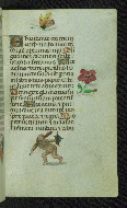 W.427, fol. 56r