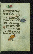 W.427, fol. 57r
